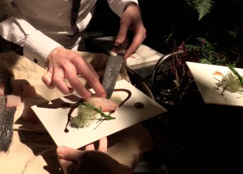 Food and Art: The Aesthetic Crossroads of Culinary and Visual Expression