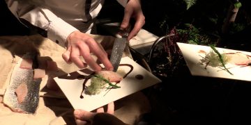 Food and Art: The Aesthetic Crossroads of Culinary and Visual Expression