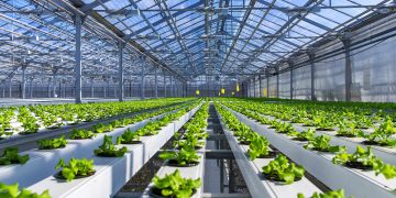 The Shift Towards Local Ingredients and Sustainable Agriculture in the Food Industry: A Commitment to Environmental Protection and Sustainability