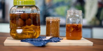 The Rise of Fermented Foods and Probiotics: A Modern Health Revolution