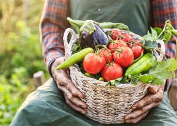 Expressing Thoughts on Society, Culture, and Politics Through Ingredients, Utensils, and Consumption Behaviors