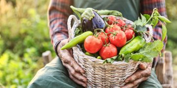 Expressing Thoughts on Society, Culture, and Politics Through Ingredients, Utensils, and Consumption Behaviors