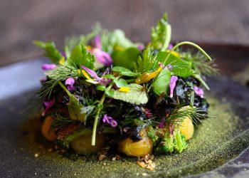 The Rise of Plant-Based Restaurants: A Growing Trend in the Culinary World