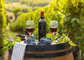 “Geographical Indication Protection: The Global Importance of Preserving Authenticity in Food and Drink”