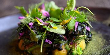 The Rise of Plant-Based Restaurants: A Growing Trend in the Culinary World