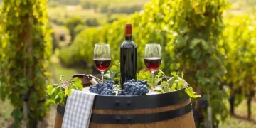 “Geographical Indication Protection: The Global Importance of Preserving Authenticity in Food and Drink”