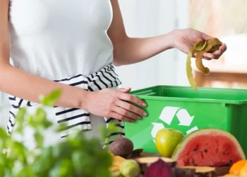 Reducing Food Waste in the Culinary World: A Growing Focus on Sustainability