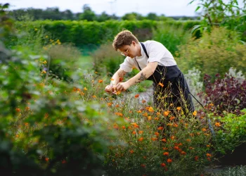 Increasing Collaboration Between Restaurants and Local Farms/Suppliers: Embracing the ‘Farm-to-Table’ Philosophy