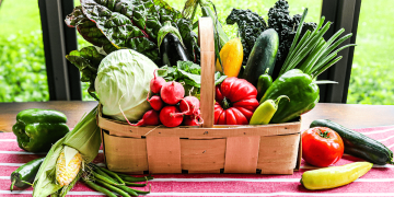 Popular Recipes: The Rise of Local Ingredients Like Homegrown Vegetables, Grass-Fed Meats, and Organic Produce on the Modern Table