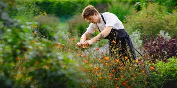 Increasing Collaboration Between Restaurants and Local Farms/Suppliers: Embracing the ‘Farm-to-Table’ Philosophy