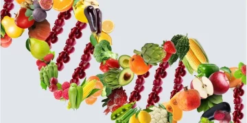 Personalized Dining: Restaurants Offering DNA-Based and Health Data-Driven Custom Meal Plans