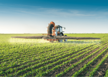 Eco-Agriculture: The Promise of Pesticide-Free, Fertilizer-Free Farming