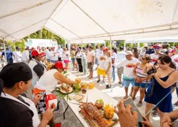 Food Festivals and Cooking Class Tourism: A Culinary Journey Around the World