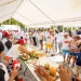 Food Festivals and Cooking Class Tourism: A Culinary Journey Around the World