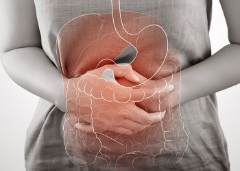 The Growing Focus on Gut Health: How Diet Can Enhance Digestion, Immunity, and Overall Well-Being