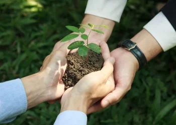 Sustainable Agriculture and the Return of Indigenous Ingredients