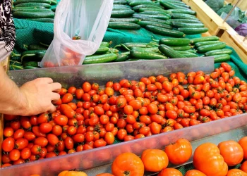 The Global Food Supply Chain: A Manifestation of Globalized Culinary Culture