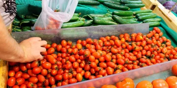 The Global Food Supply Chain: A Manifestation of Globalized Culinary Culture