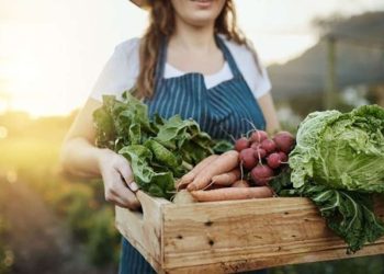 Using Leftover Vegetables and Fruits to Create Soups, Salads, Sauces, and Fermented Dishes: A Guide to Sustainable Cooking