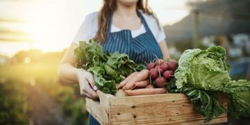 Using Leftover Vegetables and Fruits to Create Soups, Salads, Sauces, and Fermented Dishes: A Guide to Sustainable Cooking