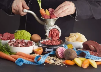 Young Chefs Simplifying “Scientific Cooking” and Integrating It into Home Kitchens