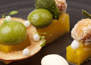 Molecular Gastronomy: Fusing Science and Culinary Art to Create Unseen Dishes