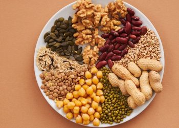 The Integration of Nuts, Seeds, and Plant-Based Milks in Everyday Diets: A Nutritional Revolution