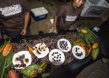 Chocolate Festivals, Coffee Festivals, and Chili Festivals: Hot Travel Destinations for Food Lovers