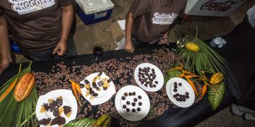 Chocolate Festivals, Coffee Festivals, and Chili Festivals: Hot Travel Destinations for Food Lovers