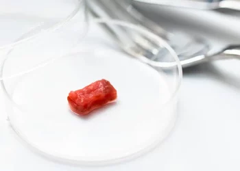 Lab-Grown Meat and 3D Printed Food: Revolutionizing the Food Industry