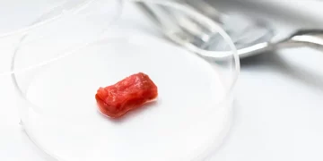 Lab-Grown Meat and 3D Printed Food: Revolutionizing the Food Industry