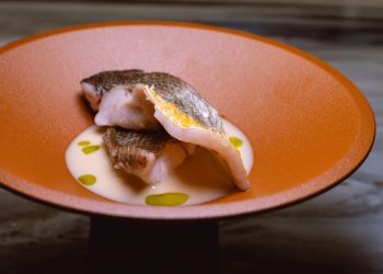 Global Culinary Renaissance: Chefs Bringing Traditional Local Ingredients Back to the Table