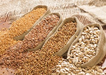 The Global Flow of Ingredients: How Coffee, Cocoa, and Spices from Developing Countries Became Everyday Staples