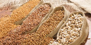 The Global Flow of Ingredients: How Coffee, Cocoa, and Spices from Developing Countries Became Everyday Staples