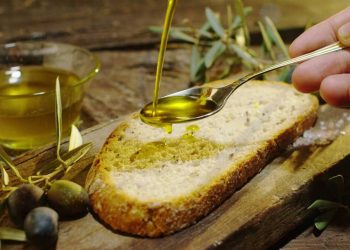 Tuscany’s Olive Oil: The Herbaceous Aromas of a Storied Region