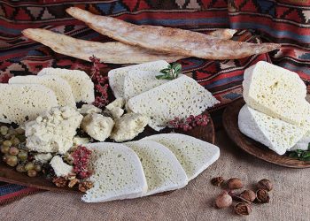 The Rise of Geographical Indication Products: Safeguarding Authenticity and Enhancing Global Trade