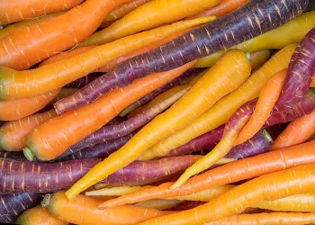 Polignano Vegetables: A Taste of Tradition from Italy’s Hidden Gem