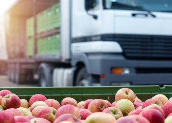 Global Supply Chains: Transforming Food Production, Consumption, and Global Culinary Trends