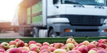Global Supply Chains: Transforming Food Production, Consumption, and Global Culinary Trends