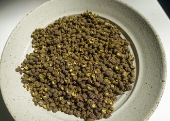 Yunnan and Sichuan: Ethnic Ingredients and Spice Systems Gaining Global Attention from Chefs