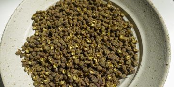 Yunnan and Sichuan: Ethnic Ingredients and Spice Systems Gaining Global Attention from Chefs